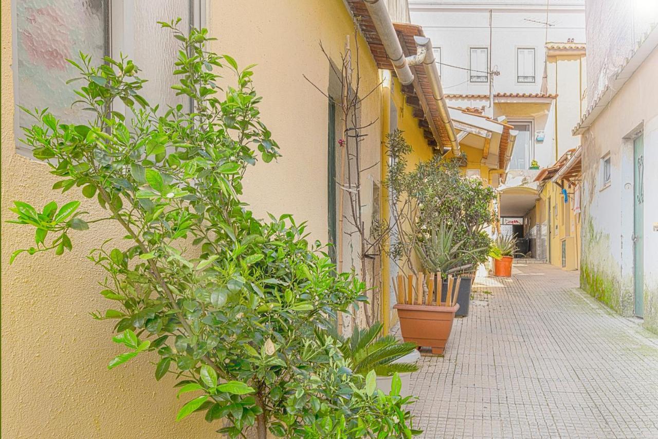 הוילה Cosy Duplex House In Downtown Lisboa מראה חיצוני תמונה